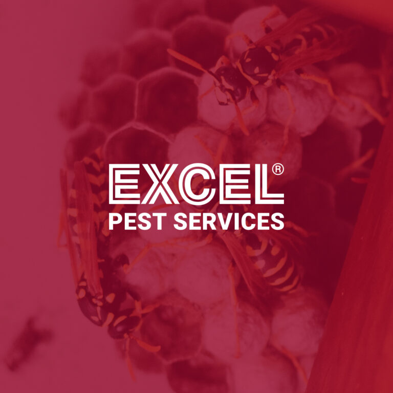 excel pest services logo on pink